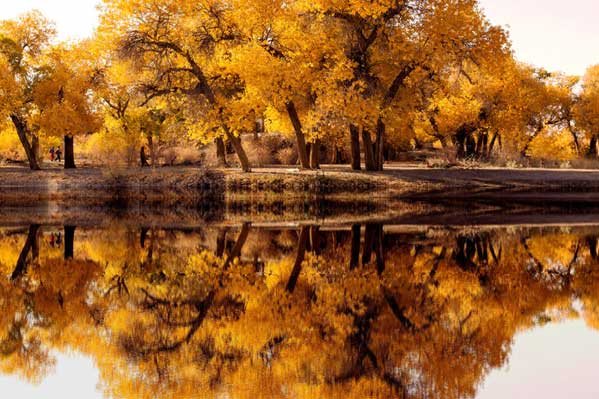 完美甘青大環(huán)線（蘭州-門源花海-祁連大草原-張掖七彩丹霞-察爾汗鹽湖-茶卡鹽湖-青海湖）雙動(dòng)8日游